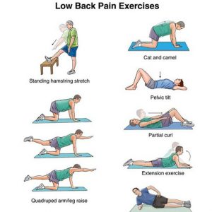 low-back-pain-exercise